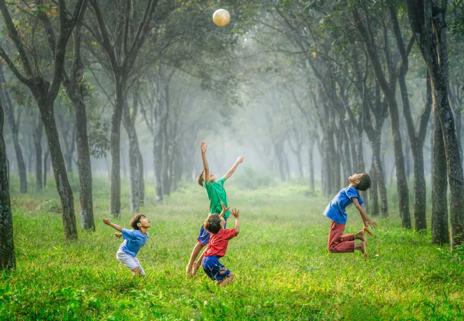 Kids playing with a ball in a sunlit, tree-lined field